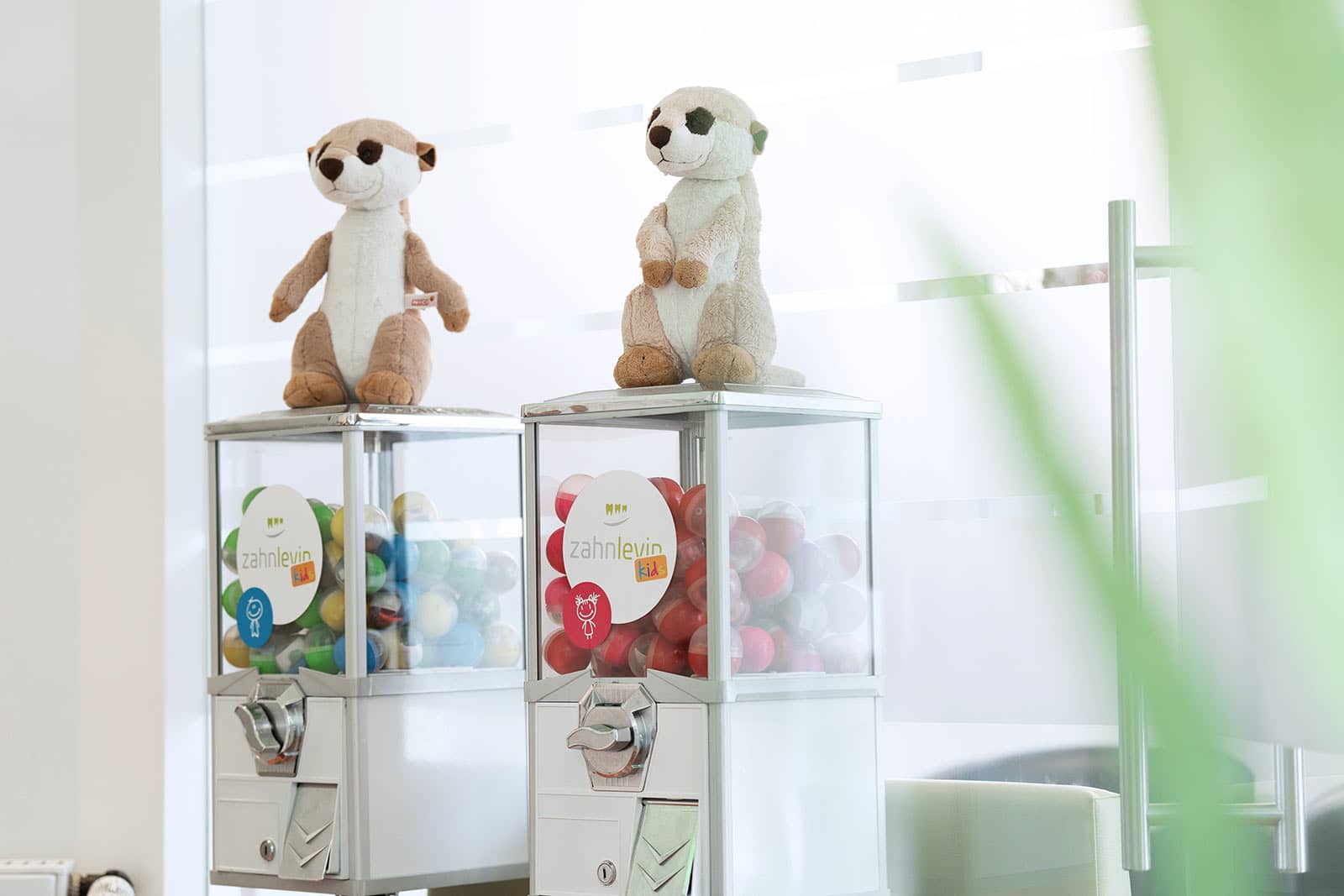 ZahnLevin Kids Durchhaltegeschenke